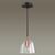 Подвесной светильник Lumion Joseph 4455/1,изображение3