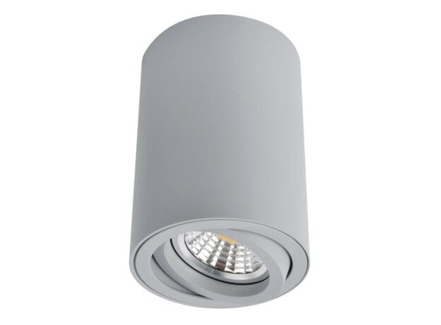 Накладной светильник Arte Lamp 1560 A1560PL-1GY