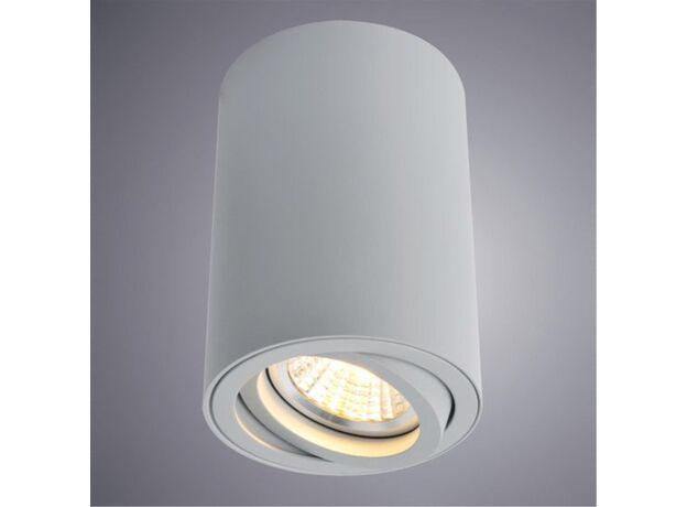 Накладной светильник Arte Lamp 1560 A1560PL-1GY,изображение3